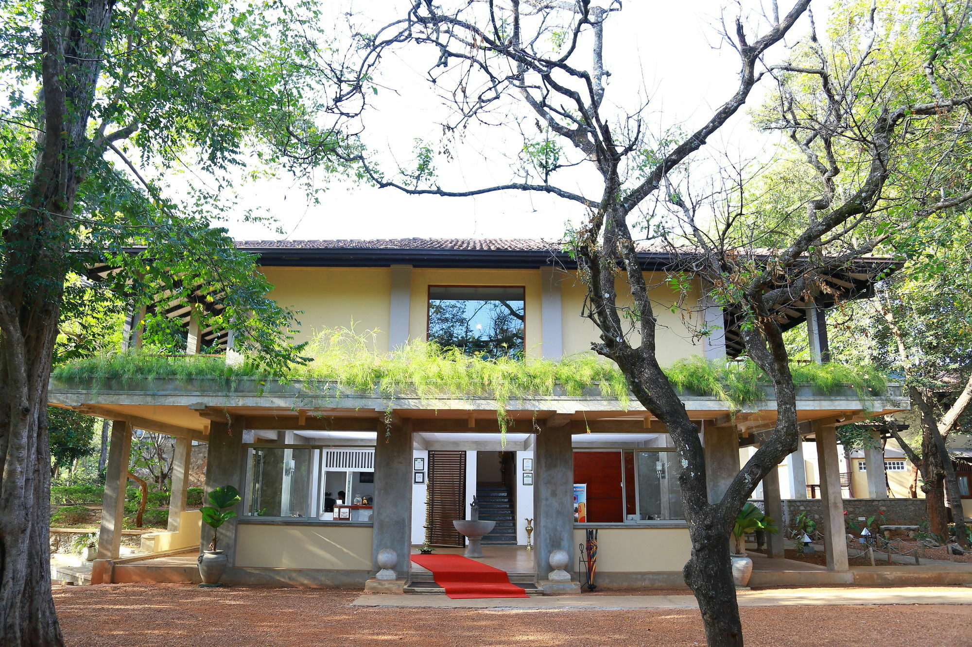 Lake Lodge Boutique Hotel Dambulla Eksteriør billede